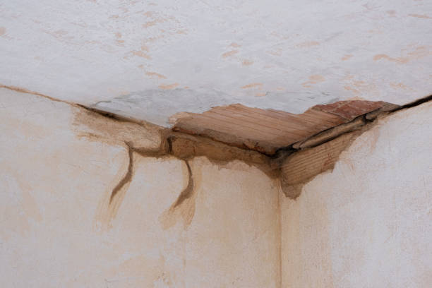 Water damage restoration insurance claims in Four Bridges, OH