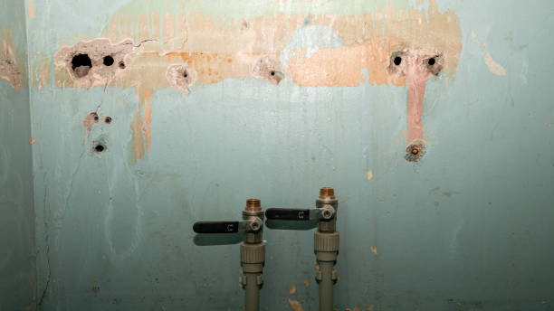 Best 24-hour water damage restoration  in Four Bridges, OH
