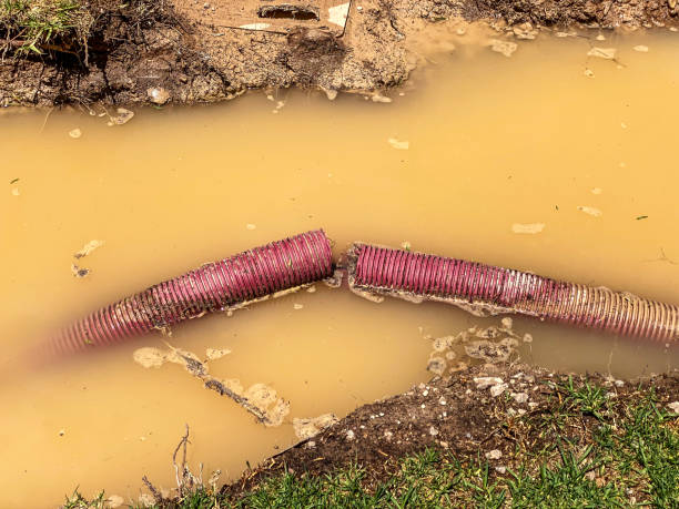 Best Emergency water extraction  in Four Bridges, OH