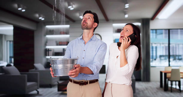 Best Mold removal after water damage  in Four Bridges, OH