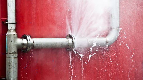 Best Professional water damage repair  in Four Bridges, OH
